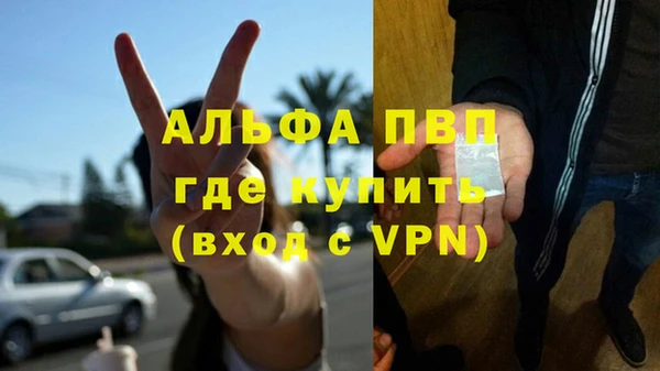 соль ск Надым
